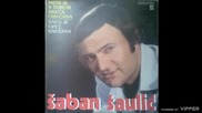 Saban Saulic - Sneg je opet Snezana - (Audio 1981)