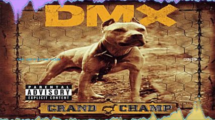 Dmx - Get It On The Floor (remix)