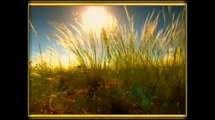Tomaso Albinoni - Adagio in G minor 