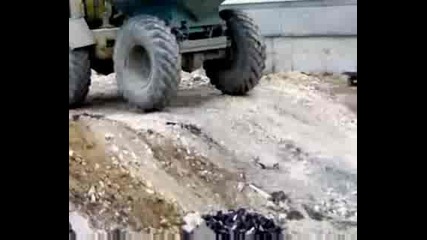 муси