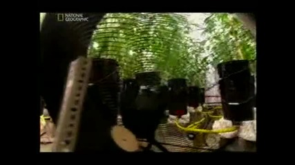 Inside Marijuana Супер Трева (2010) 1 ч 