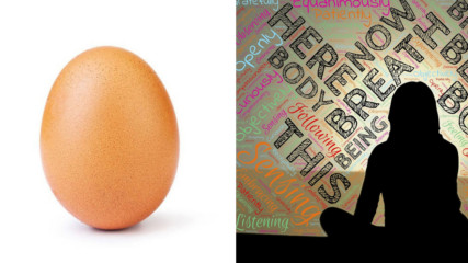 Най-известното яйце в света се оказа с мисия! Стана ясна целта му