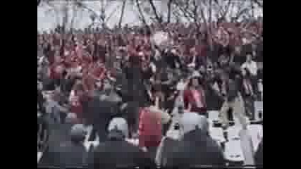 Cska Sofia Hooligans 