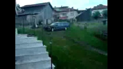 Сърница(шики.avi
