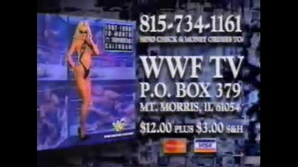 Wwf - Hart Foundation Vs Steve Austin, Dude Love & Undertaker ( Flag Match )