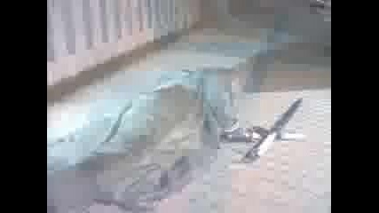 Highlander.s01e01.dvdrip.divx - Sfm Part2 