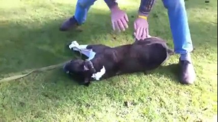 Човек спасява куче от сигурна смърт