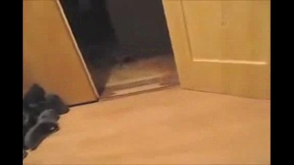 Koteshki Drift