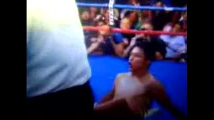 Uppercut Knockout Highlights