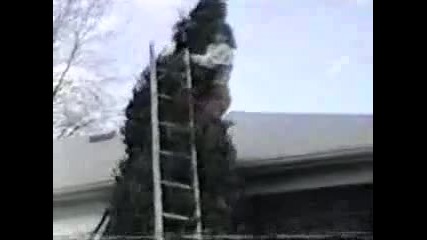 Смешни Инциденти