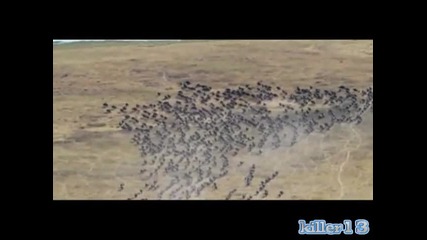 Planet Earth Hoppipolla