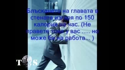 Интересни Факти