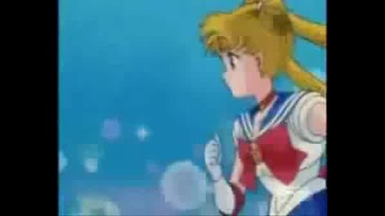 Usagi & Mamoru Belong Together