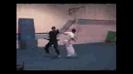 Team Ryoukos