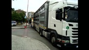 Пътна помощ Автокомплекс Димитров за запалил се словашки камион с бикове 10.08.2012