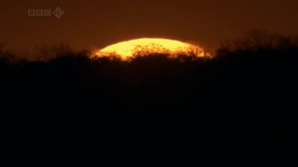 Невероятната природа - Wild Planet [hd]
