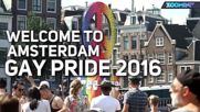 5 интересни факта за гей парада в Амстердам