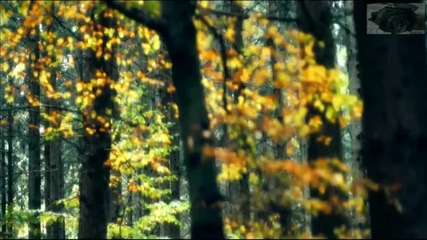 Jasper Forks - River flows in you (jerome remix) [official video]