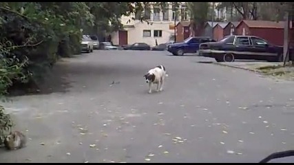 Безстрашен ловец