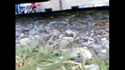 Видео040