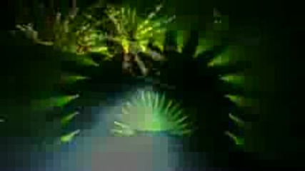 I Love New Year 2008/2009 Trailer