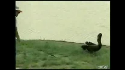 Ако сте тръгнали на лов трябва да видите това клипче - Смях