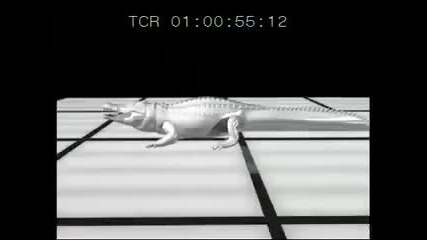 Autopsy Crocodile 