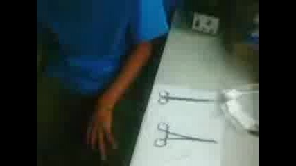 lucyo body piercing т Body Piercing 