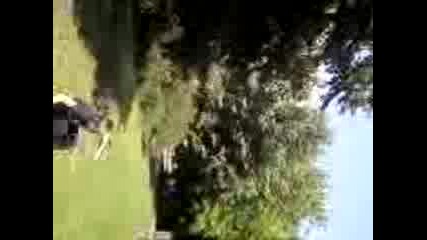 Angel Drop