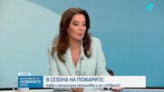 В сезона на пожарите: Каква е актуалната ситуация у нас