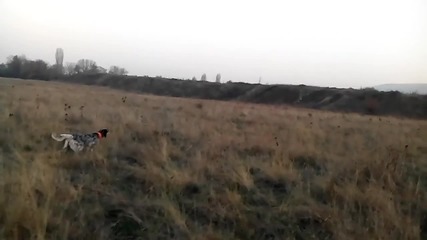 Vid_20161122_165530 rotate rotate
