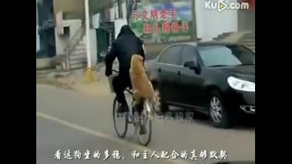Това куче изуми всички с таланта си
