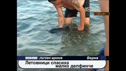 Летовници спасиха малко делфинче 