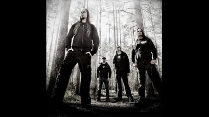Insomnium - One for sorrow (2011)
