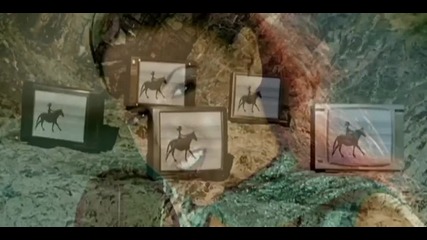 Milk Inc - The Sun always shines on Tv 