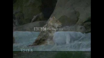 Една много хубава песен с трогателно видео!