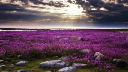 Running Man - Solace (manuel Le Saux Remix) 