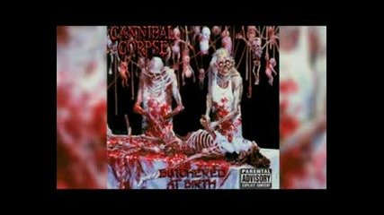 Cannibal Corpse - Centuries Of Torment Dvd Teaser PART 2