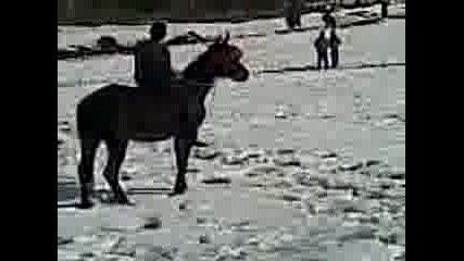 Video005 
