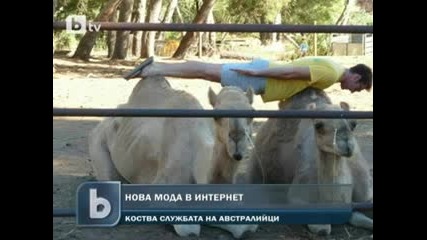 Нoва мода в Интернет btv Новини - Бг Аудио