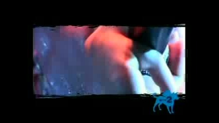 Disturbed