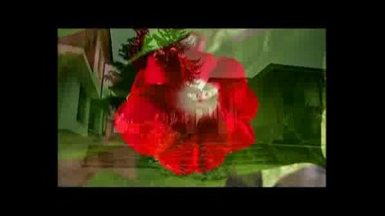 Гергана Димова Деляне Холам Деляне
