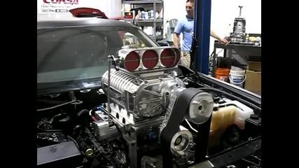 Cult Energy Challenger 