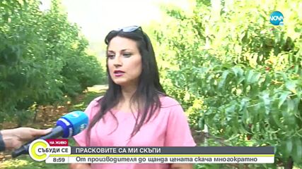Цените на прасковите у нас: от 0,80 лв. в градината до 5,50 лв. в магазина
