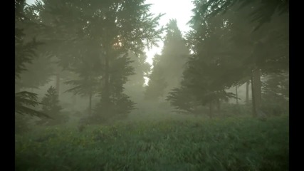 Cryengine 3 Forest