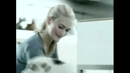 Куче изнасилва ръката на жена (смях)