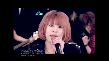 Cherry Blossom - - Dive To World