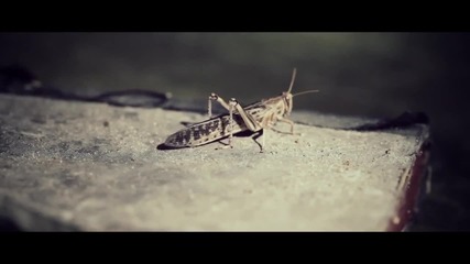 Emalkay - Bring It Down Official Video (skrillex)