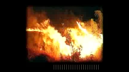 Madredeus Greenpeace 