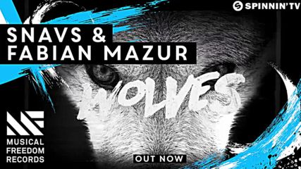 House | ♪♫ Snavs & Fabian Mazur - Wolves ♪♫